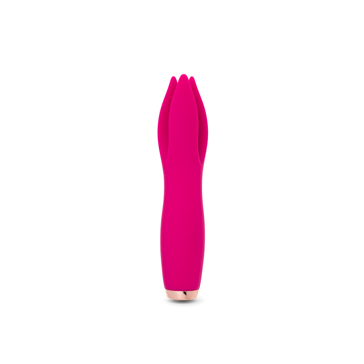 Tulip